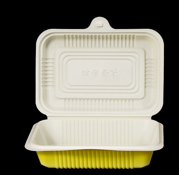 Foam food container with hinged lid Food Container Manufacturer