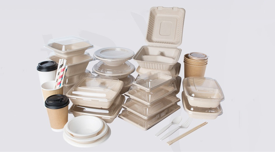Food Container Supply, Take Out Containers, Biodegradable  Disposable Food Container | Pony Packaging