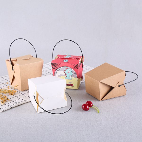 Portable takeaway packing box (3)