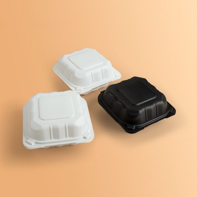 Biodegradable disposable take away foamfood container (1)