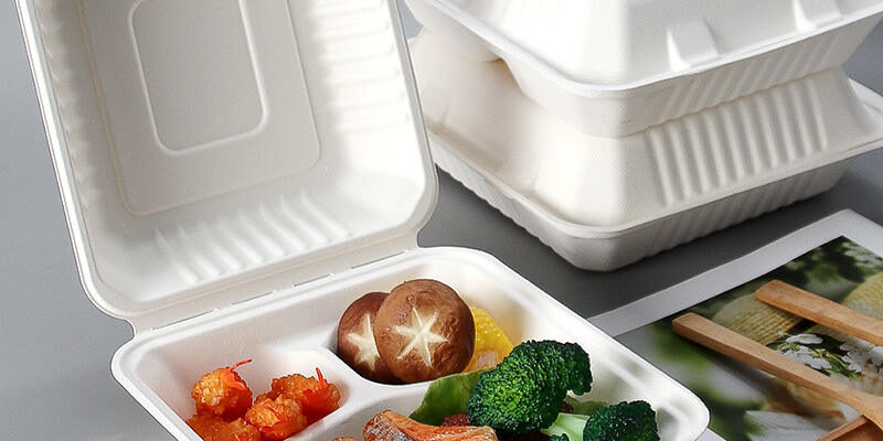 Eco-friendly compostable food container for sustainable packaging