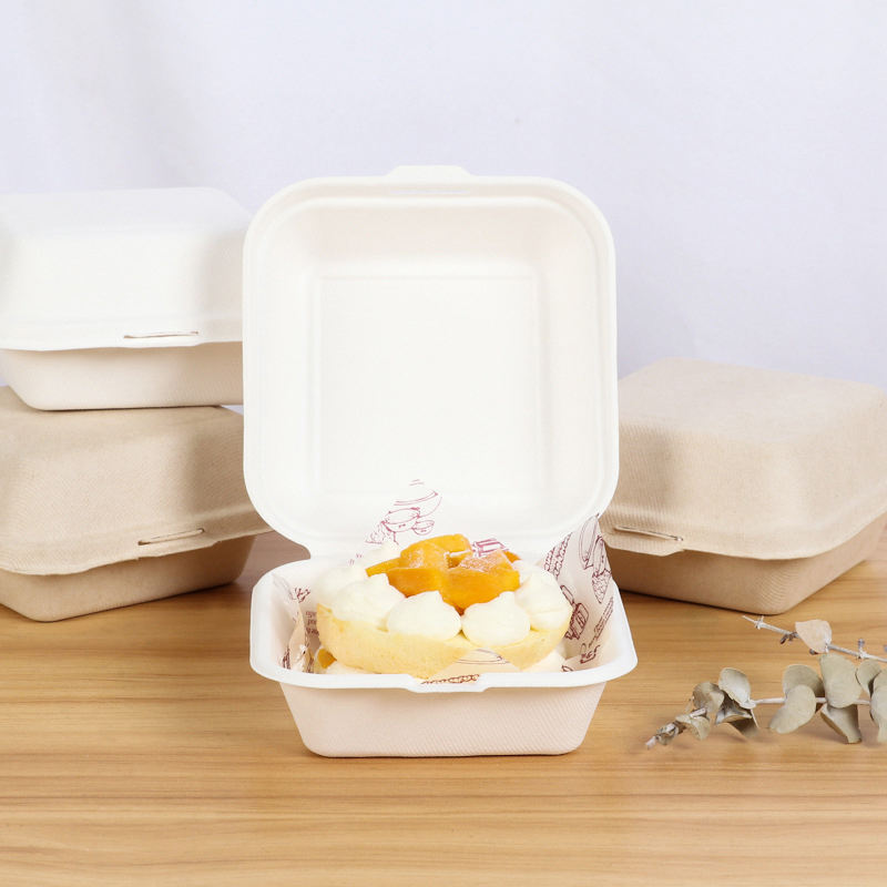 Compostable container for fruit, salad, burger, and cake packaging