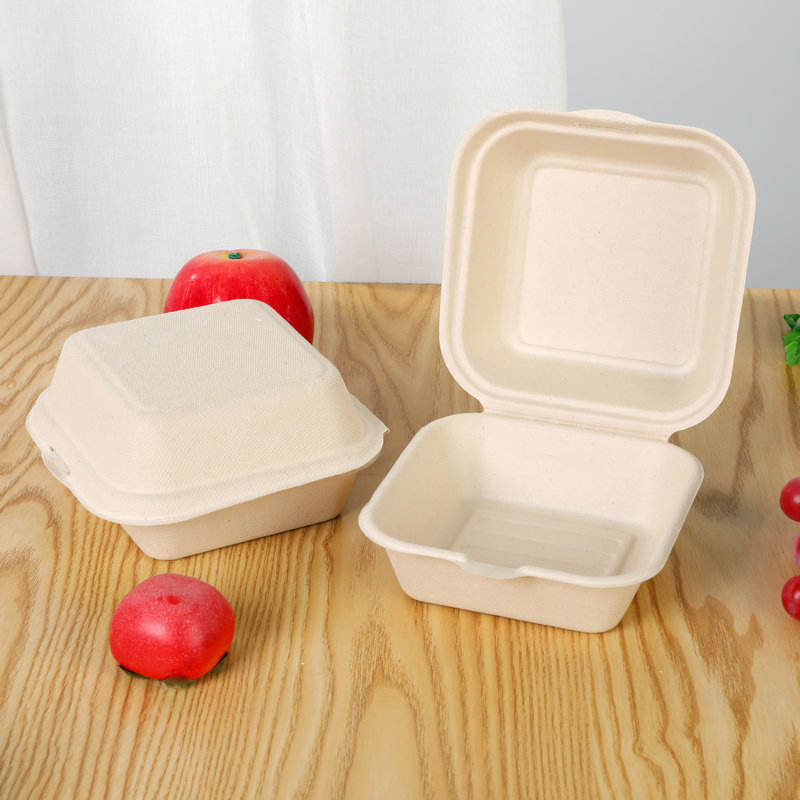 Compostable container for fruit, salad, burger, and cake packaging