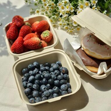 Compostable container for fruit, salad, burger, and cake packaging