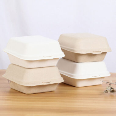 Compostable container for fruit, salad, burger, and cake packaging