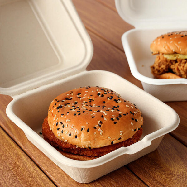 Compostable container for fruit, salad, burger, and cake packaging