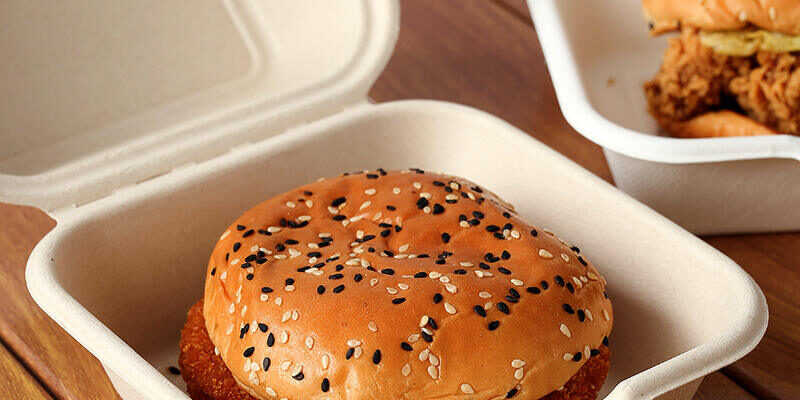 Compostable container for fruit, salad, burger, and cake packaging