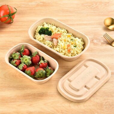 Eco compostable lunch container with lid for takeaway