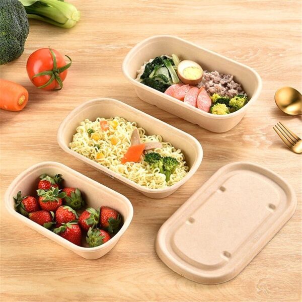 Eco compostable lunch container with lid for takeaway