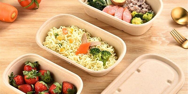 Eco compostable lunch container with lid for takeaway