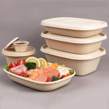 Eco compostable lunch container with lid for takeaway