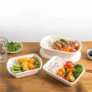 Eco compostable lunch container with lid for takeaway