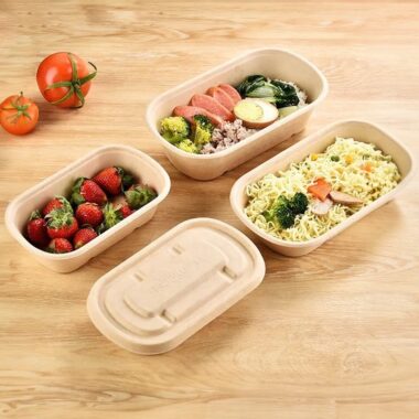 Eco compostable lunch container with lid for takeaway