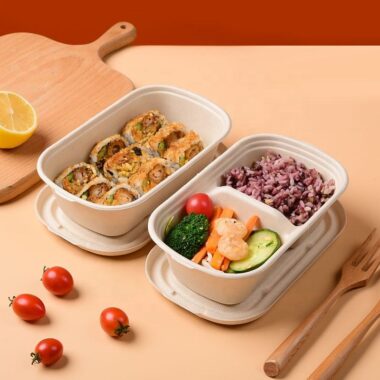 Eco compostable lunch container with lid for takeaway