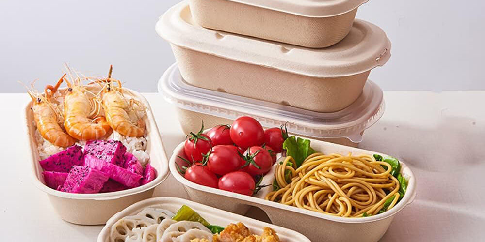 Eco-friendly compostable food container for salad takeaway packaging