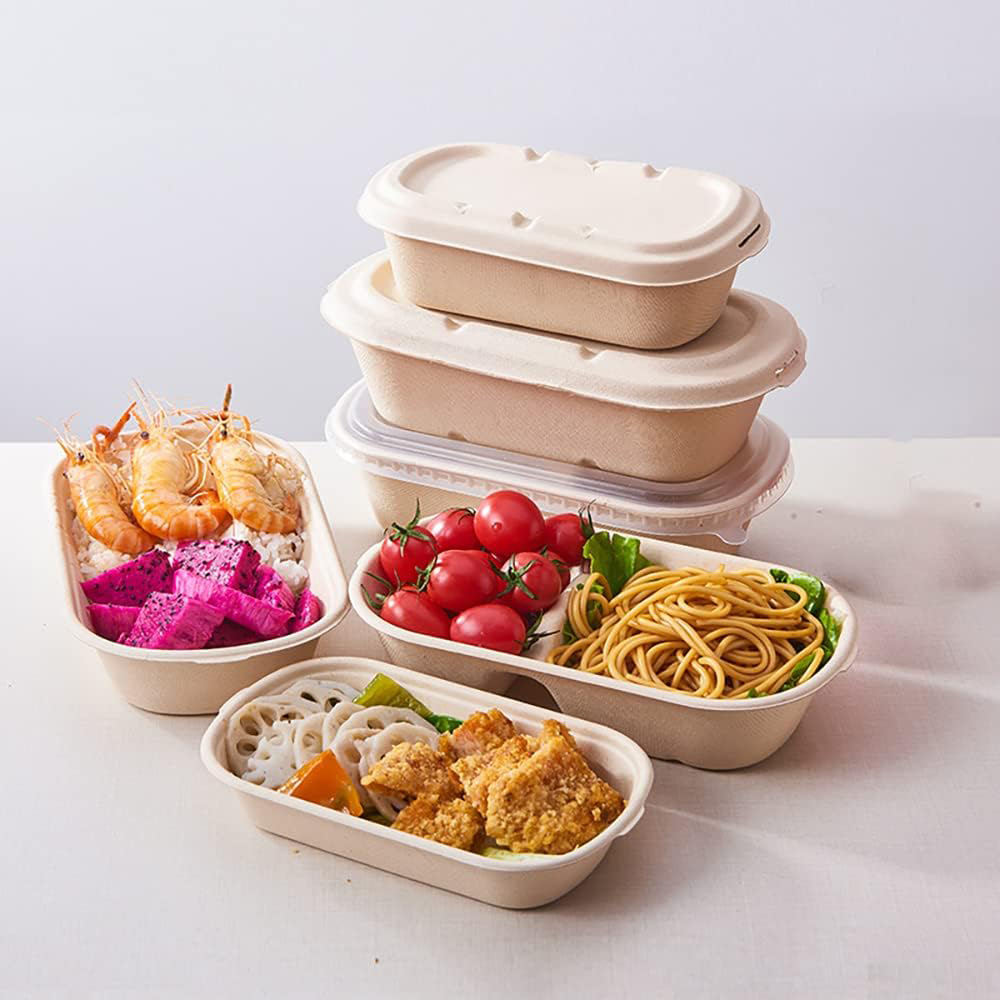 Eco-friendly compostable food container for salad takeaway packaging