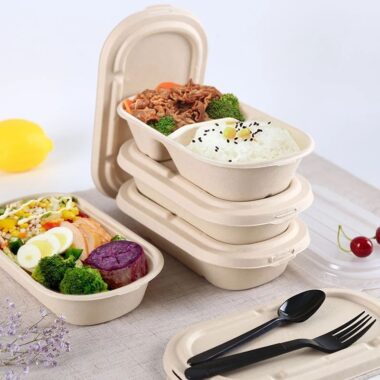 Eco-friendly compostable food container for salad takeaway packaging
