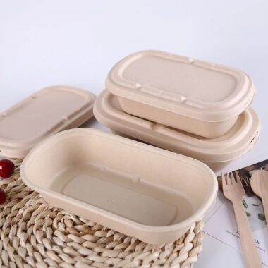Eco-friendly compostable food container for salad takeaway packaging