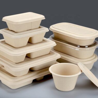 Eco-friendly compostable food container for salad takeaway packaging