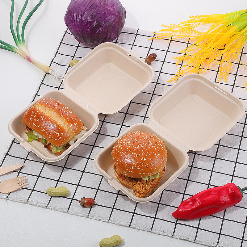 Compostable food container for cake and bento packaging