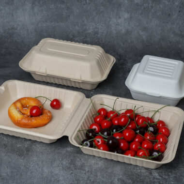 Compostable food container for cake and bento packaging