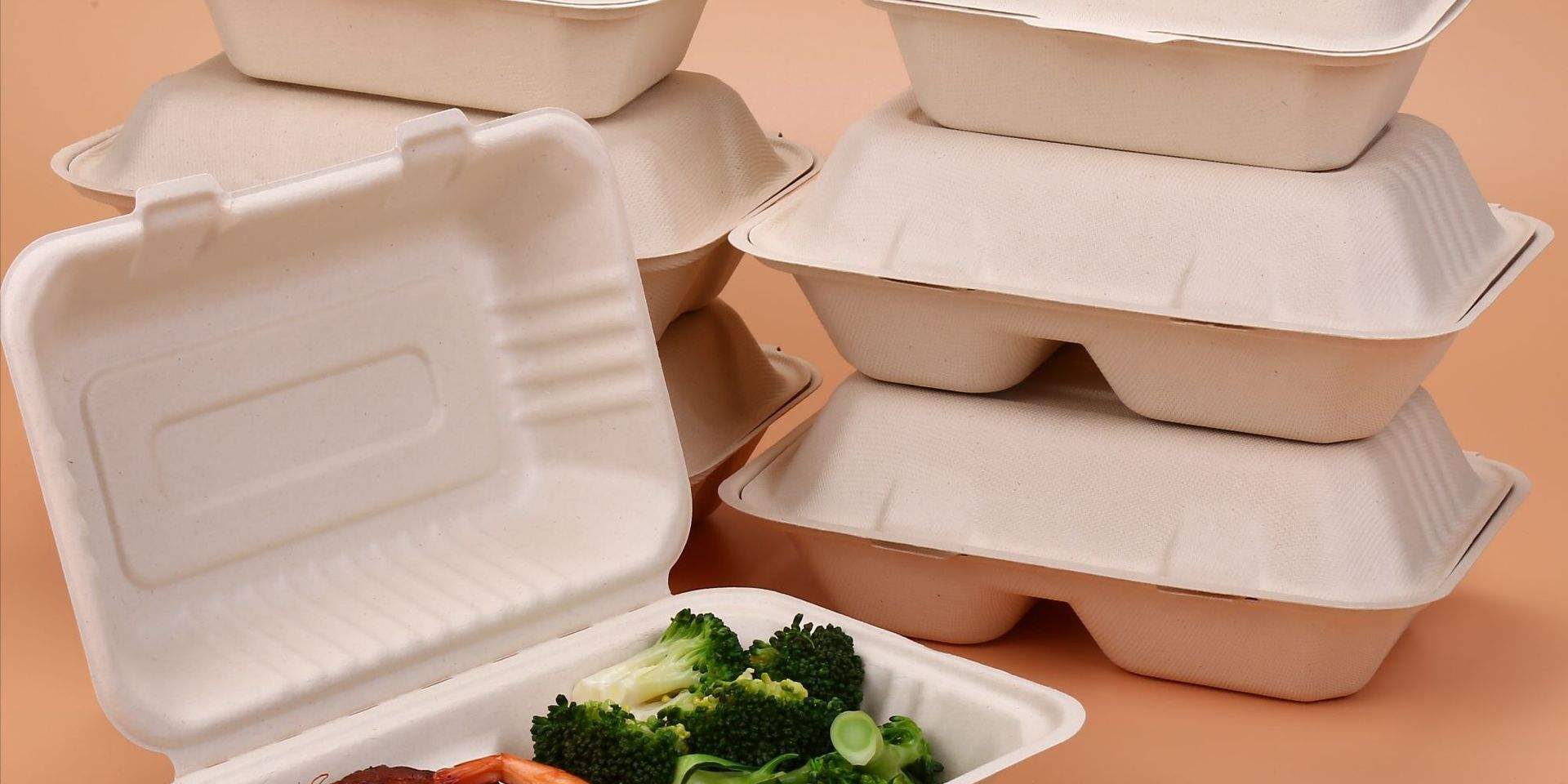 Compostable food container for cake and bento packaging