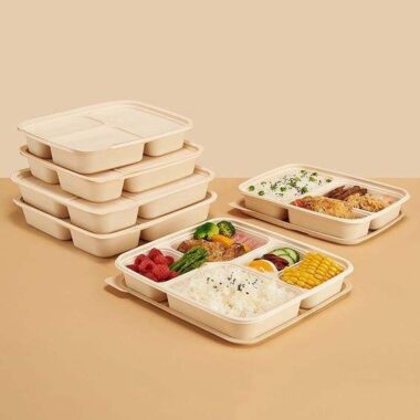 Eco compostable food container for sustainable packaging