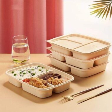Eco compostable food container for sustainable packaging