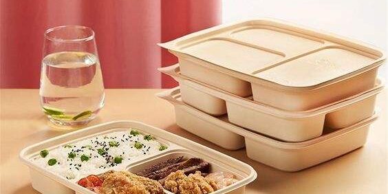 Eco compostable food container for sustainable packaging