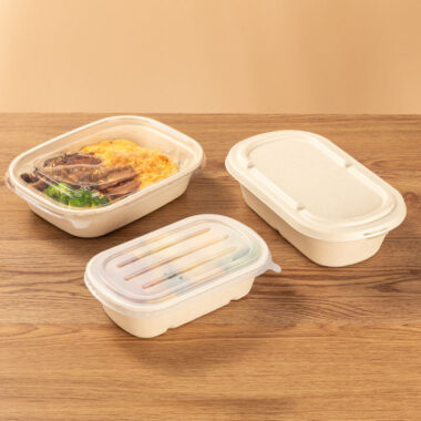 Compostable fruit salad container for eco packaging