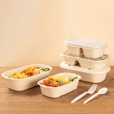 Compostable fruit salad container for eco packaging