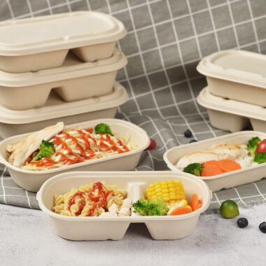 Eco takeaway lunch compostable food container for restaurants