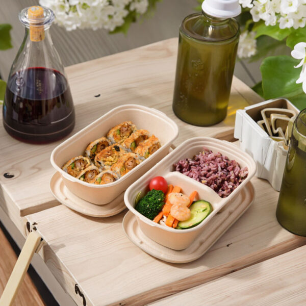 Eco takeaway lunch compostable food container for restaurants