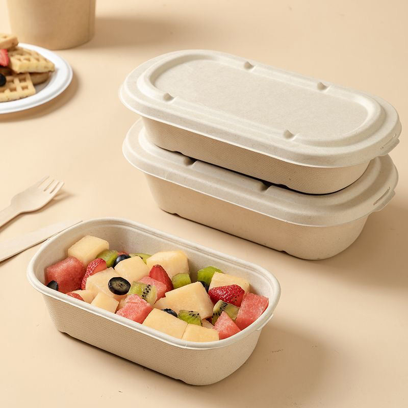 Eco takeaway compostable food container for sustainable packaging