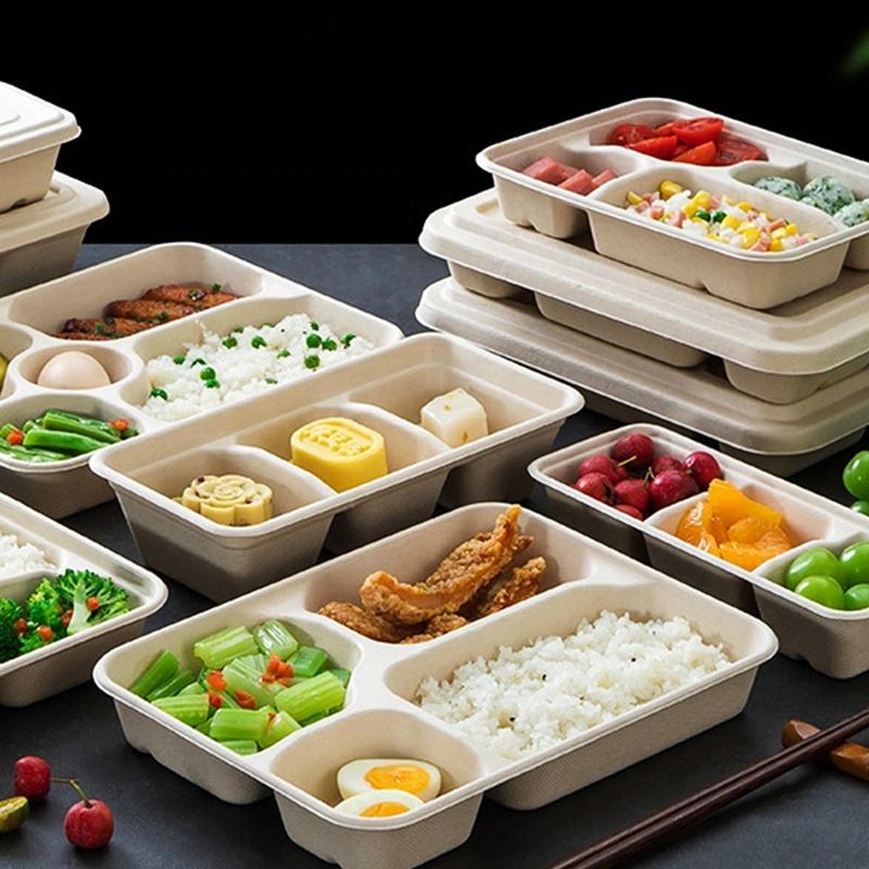 Eco-friendly takeaway compostable food container for restaurants