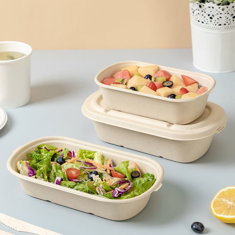 Eco takeaway compostable food container for sustainable packaging