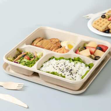 Eco-friendly takeaway compostable food container for restaurants