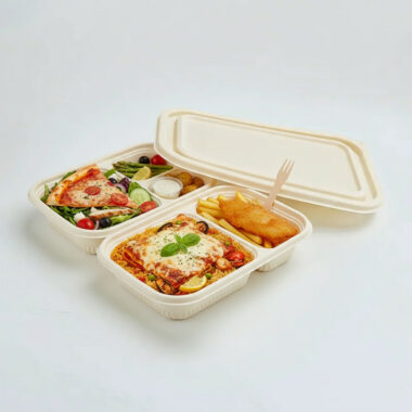 Eco takeaway compostable food container for sustainable packaging