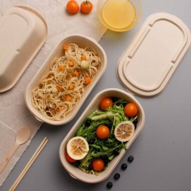 High-quality eco takeaway compostable food container with lid