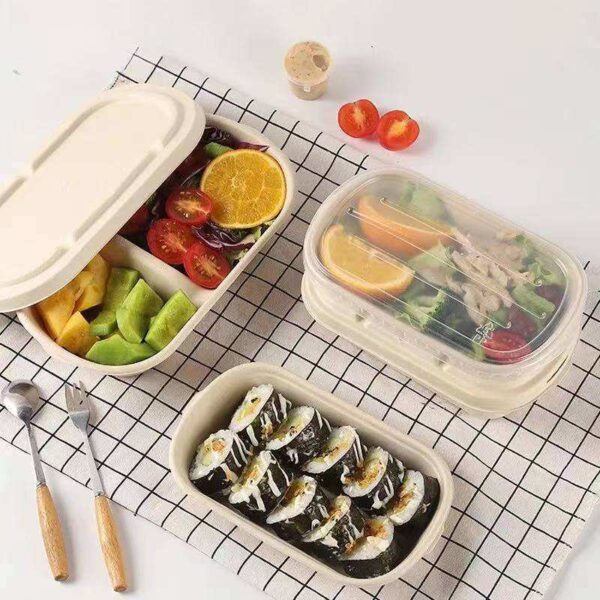 High-quality eco takeaway compostable food container with lid