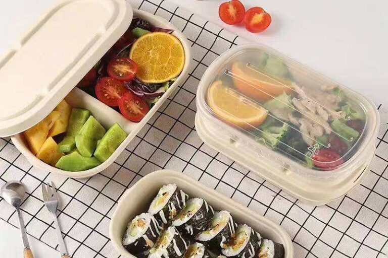 High-quality eco takeaway compostable food container with lid