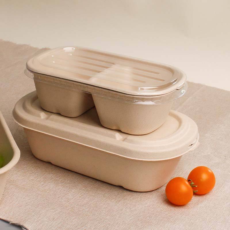 High-quality eco takeaway compostable food container with lid