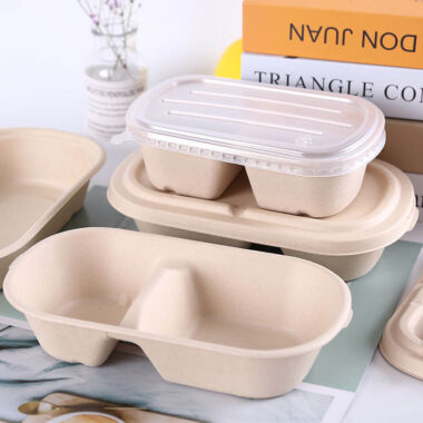 High-quality eco takeaway compostable food container with lid