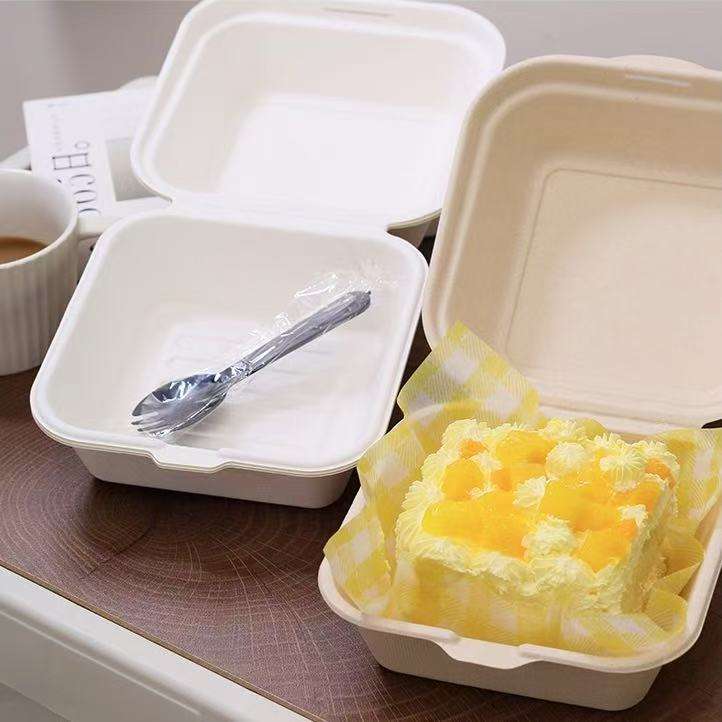 Compostable food container for donuts, pastries, and cakes