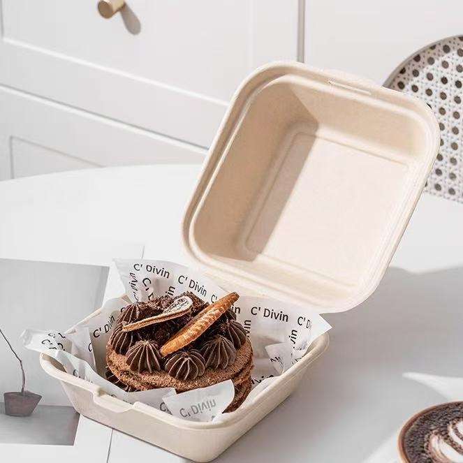 Compostable food container for donuts, pastries, and cakes