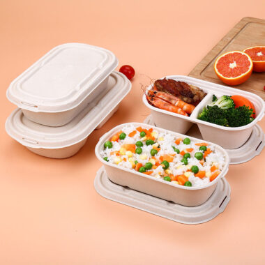 Compostable food container for light meal and salad bento packaging