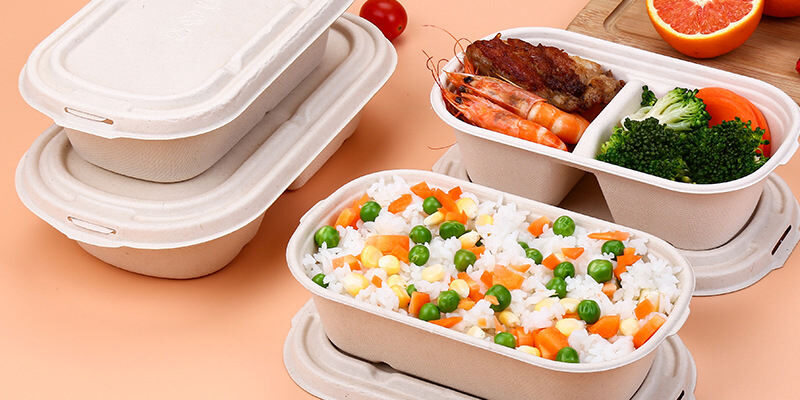 Compostable food container for light meal and salad bento packaging