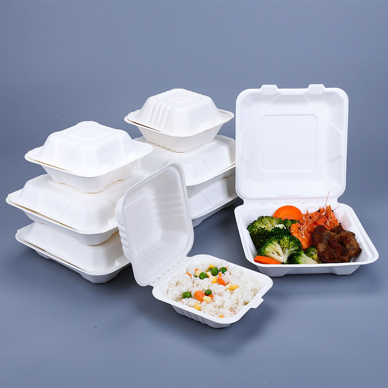 Compostable food container for light meal and salad bento packaging