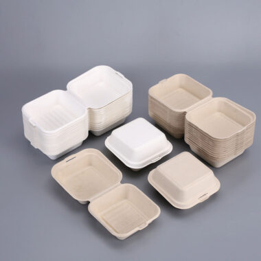 Compostable food container for light meal and salad bento packaging