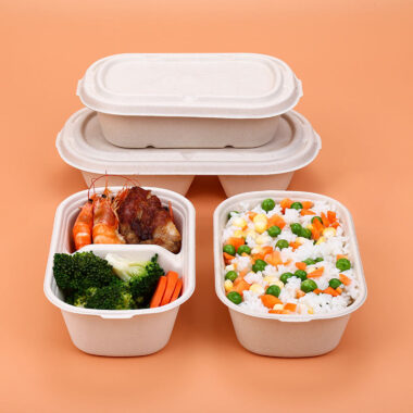 Compostable food container for light meal and salad bento packaging